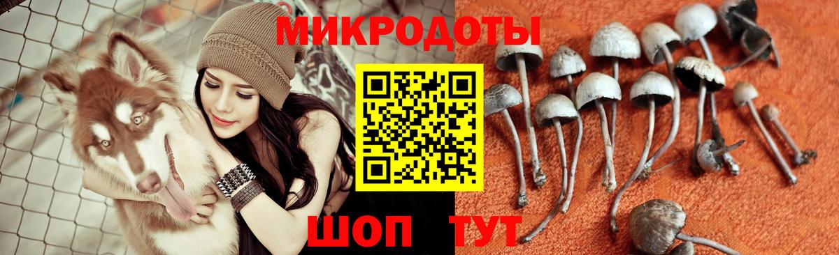 Псилоцибиновые грибы Cubensis  Вход с VPN  Чебаркуль 